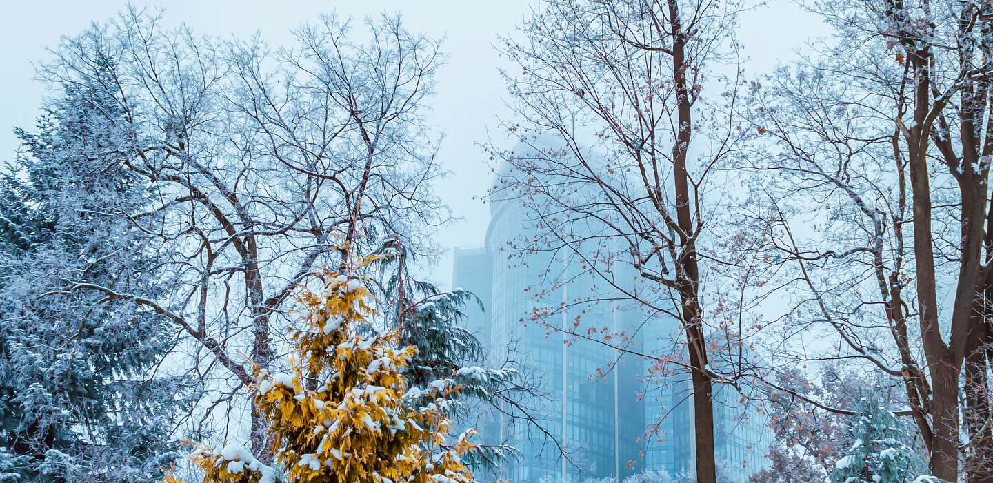 Зелені дні — про буденні речі під час війни